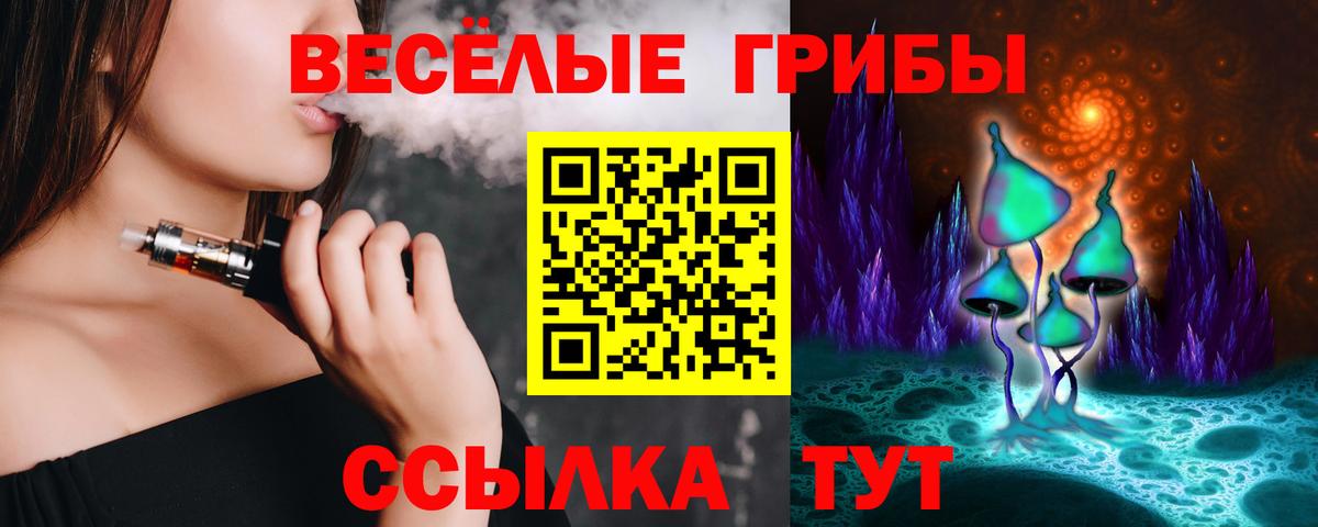 Псилоцибиновые грибы Psilocybe Курган