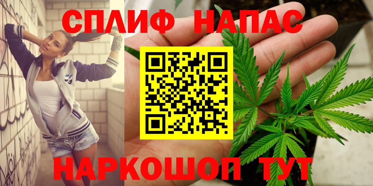 Бошки Шишки планчик Курган